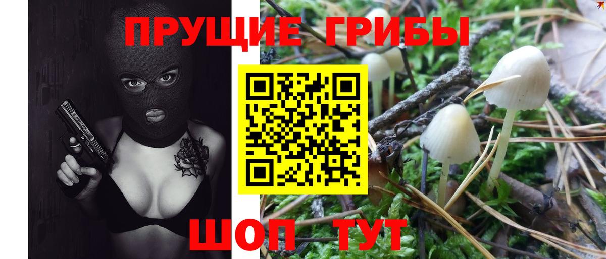 Галлюциногенные грибы GOLDEN TEACHER  Вход с VPN  Псилоцибиновые грибы GOLDEN TEACHER  Гуково 