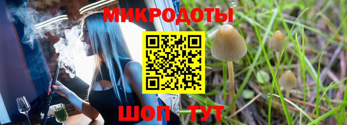 Псилоцибиновые грибы ЛСД Гуково